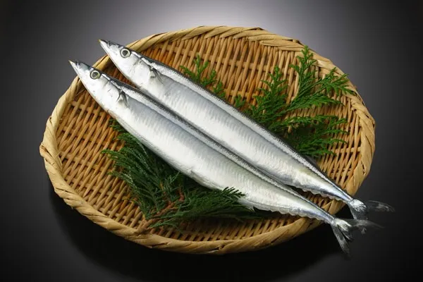 その日、その季節に出会う料理。